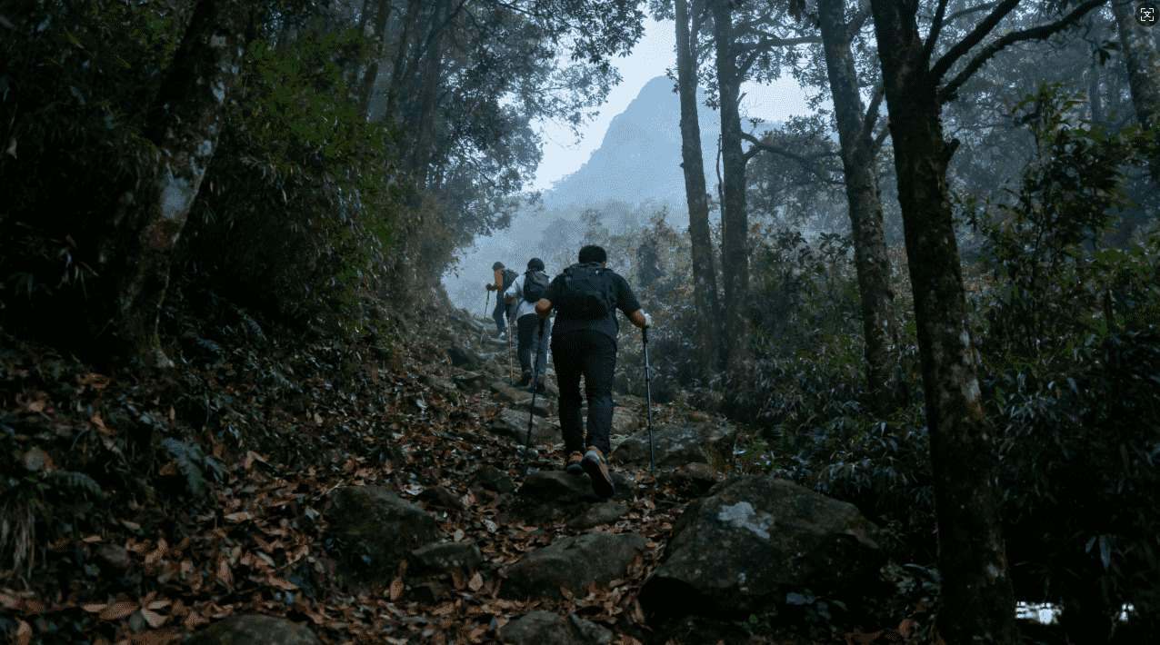旋风雷神加速器使用体验评测分析